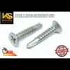 DRILLING SCREW