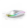 KS WIRELESS MOUSE GREY