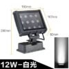 SB LED FLOOD LIGHT 6500K